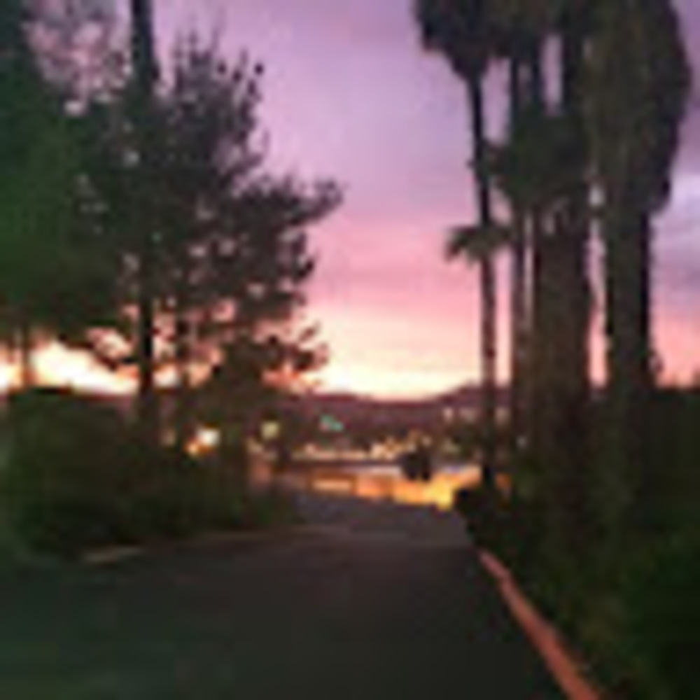 Meet your Posher, Tania